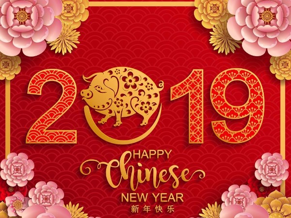 金豬送喜辭舊歲，雙志陪您慶新春！